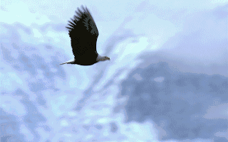 四环生物收到54名投资者的虚假陈述诉讼；ST太安股票存在被终止上市风险；乐普医疗、通化东宝、甘李药业拟中选集采丨医药上市公司追踪